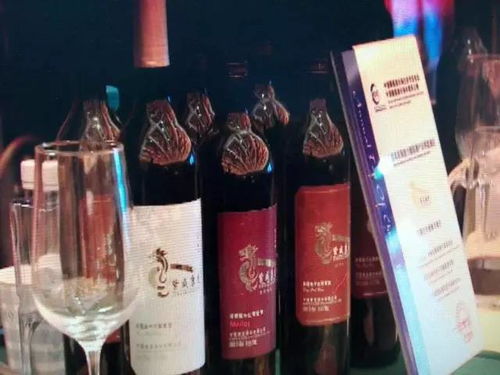 青銅峽葡萄酒 目標年產值200億元，讓世界為之傾倒的東方佳釀