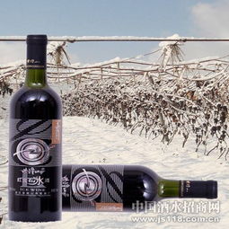 紫隆山紅寶石冰酒 品味時光凝萃，共創財富未來——通化紫隆山葡萄酒廠火熱招商