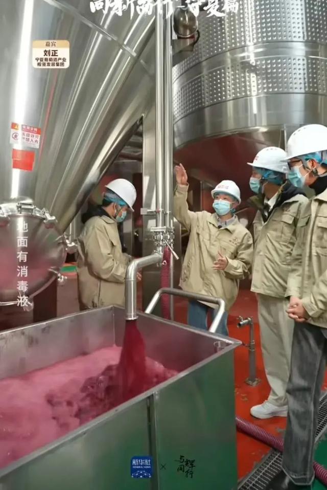 隨董宇輝寧夏行 探秘葡萄酒的誕生，品味杯中人生百味
